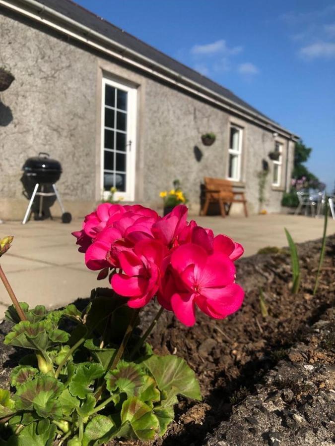 Ballyconnelly Cottages, Galgorm Area Cullybackey Luaran gambar